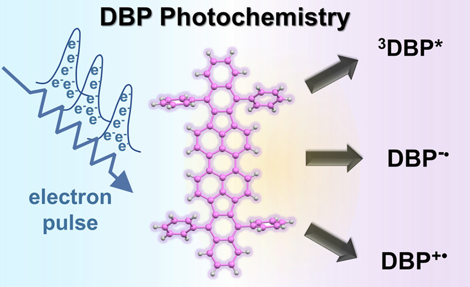 Excited State and Transient Chemistry of a Perylene Derivative (DBP). An Untold Story